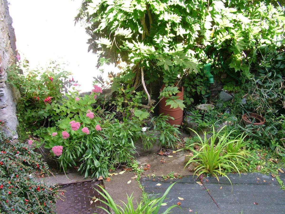 Geranium Cottage, Lostwithiel Exteriör bild